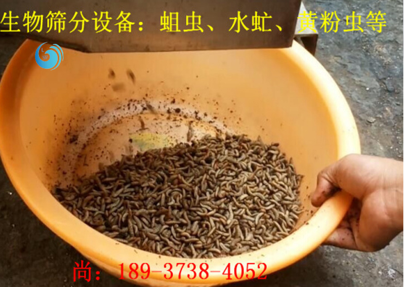 蛆蟲篩選3層国产精品无码AV麻豆国产援交